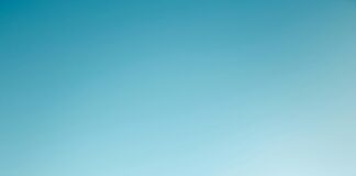 Contested vs. Uncontested Divorce: Which Option Is Best for You?