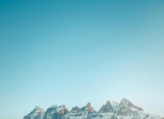 Contested vs. Uncontested Divorce: Which Option Is Best for You?