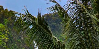 Should You Get a Prenuptial Agreement? Discover the Benefits Today!