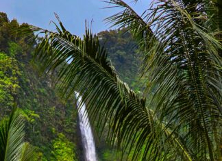 Should You Get a Prenuptial Agreement? Discover the Benefits Today!