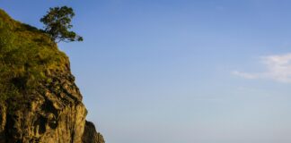 Should I Get a Prenuptial Agreement? Discover the Key Benefits