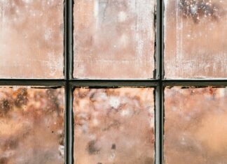 How Long Should I Wait Before Remarrying After Divorce? Discover Insights