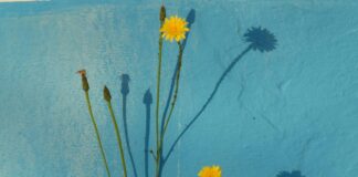 How Long Do Alimony Payments Last? Discover Essential Insights