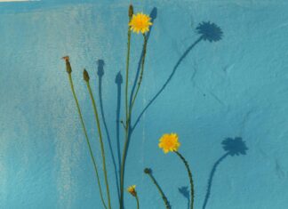 How Long Do Alimony Payments Last? Discover Essential Insights