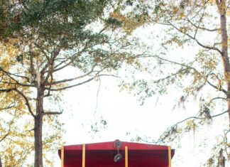 Law & Order: Special Victims Unit Season 26 – What’s Next?