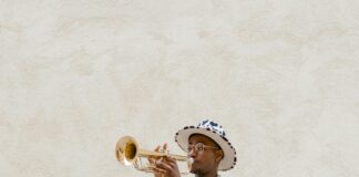 What Is a Public Prosecution Case and How Is It Filed Effectively?