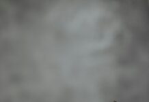 How to File a Lawsuit in a Consumer Court: Essential Steps Revealed