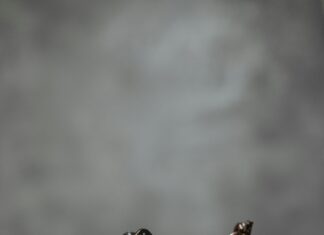 Who Pays the Legal Costs in Alimony Cases? Discover the Truth!