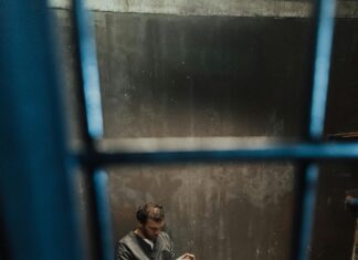 Coulter Harsh Law: What You Need to Know for Your Rights Today