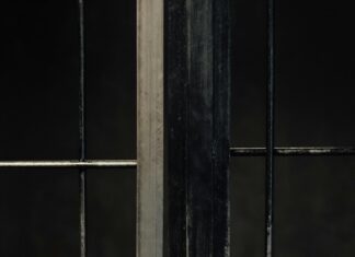 Ozark Law: What You Need to Know for Your Legal Protection?