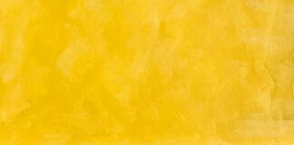 Son In Law In Spanish: Discover The Perfect Ways To Say It!