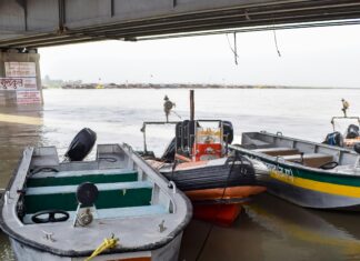 Trafalgar D Water Law: Unraveling The Secrets Of His Genius