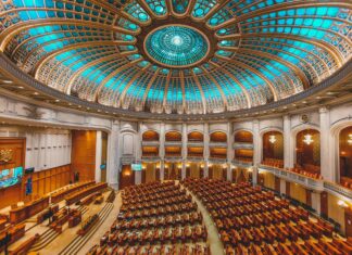 Trafalgar D Law: Discover the Secrets Behind His Incredible Power