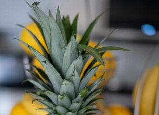 Arizona Lemon Law: Discover Your Rights and Get Justice Today!