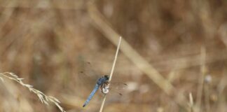 Law of Total Expectation: Unlocking Insights for Better Decisions