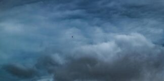 Touro Law Center: Discover How It Transforms Legal Education Today