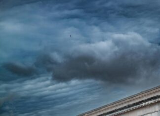 Touro Law Center: Discover How It Transforms Legal Education Today