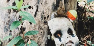 Weird Laws in the US: Are You Breaking These Strange Rules?