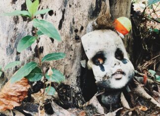 Weird Laws in the US: Are You Breaking These Strange Rules?