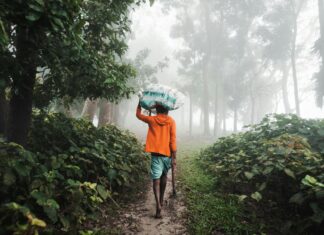 My In-Laws Are Obsessed With Me: Unraveling Their Secrets!