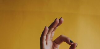 Disposition Meaning Law: Unraveling Its Impact on Your Case