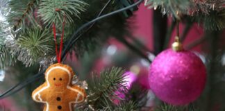 North Carolina New Laws December 2024: What You Need to Know