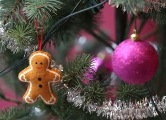 North Carolina New Laws December 2024: What You Need to Know