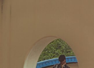 Law of Detachment Geometry: Unlocking Secrets of Logical Reasoning