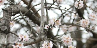 New Laws in California 2025: What You Need to Know Now