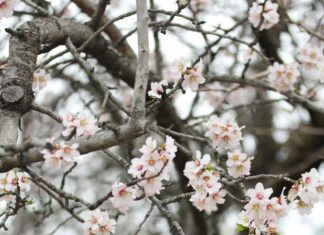 New Laws in California 2025: What You Need to Know Now