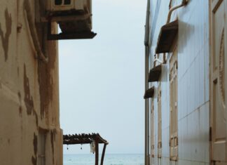 Law Street Beach: Discover the Hidden Gems of Coastal Life