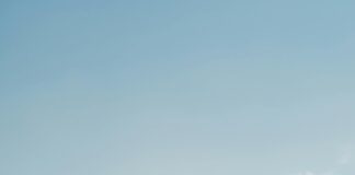 John Phillip Law: Discover The Iconic Star’s Secret Journey