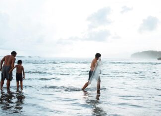 Cast of Son in Law: Discover Their Hidden Talents and Stories