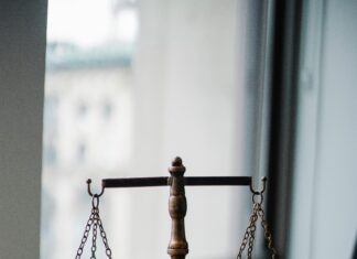 Law And Order: SVU Cast 2024 Unveiled – Who’s Joining The Show?