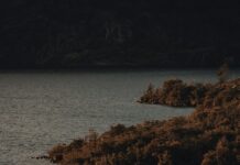 Daughter In Law In Spanish: Discover The Meaning And Usage