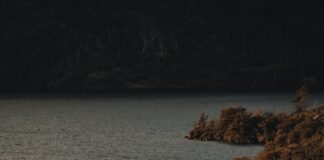 Daughter In Law In Spanish: Discover The Meaning And Usage