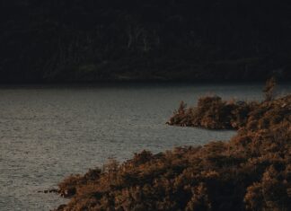 Daughter In Law In Spanish: Discover The Meaning And Usage