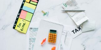 Law And Order: Organized Crime Season 5 – What Surprises Await?