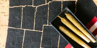 North Carolina Cannabis Laws: What You Need To Know Now