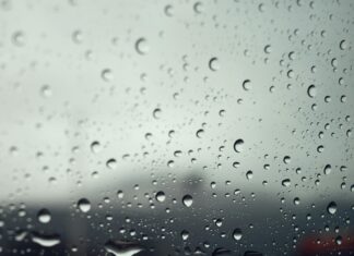 NC Tint Laws: What You Need To Know For Perfect Window Tinting