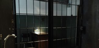 Law And Order SVU Olivia Benson: Why She Captivates Audiences