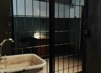 Law And Order SVU Olivia Benson: Why She Captivates Audiences