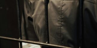 Hayley Law: Discover The Secrets Behind Her Rising Stardom