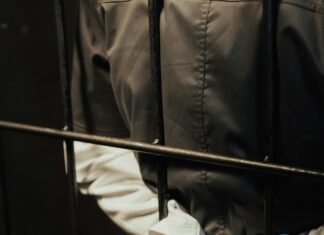 Hayley Law: Discover The Secrets Behind Her Rising Stardom