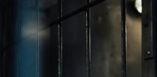 Cast of Law and Order: Criminal Intent – Discover Their Secrets!