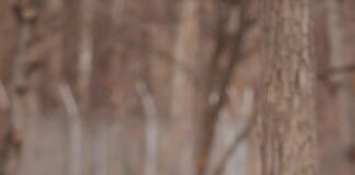 Squatting Laws in Texas: What Every Property Owner Must Know