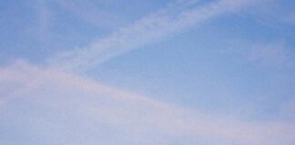 Florida Immigration Law: What You Need to Know for Success