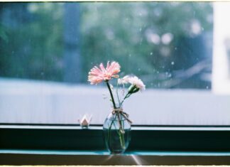 PA Tint Laws: What You Need to Know for Legal Window Tinting