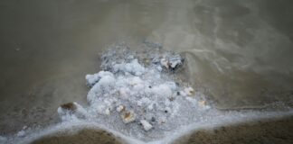 What Is a Deposition in Law? Uncover Its Importance and Process