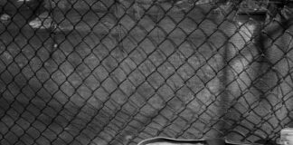 Weird Laws That Will Leave You Speechless and Curious to Learn More